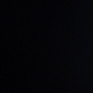 Meet your Posher, Selena